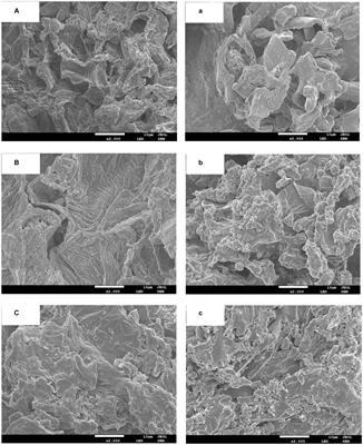 Effects of extraction methods on the structural characteristics and functional properties of dietary fiber extracted from papaya peel and seed